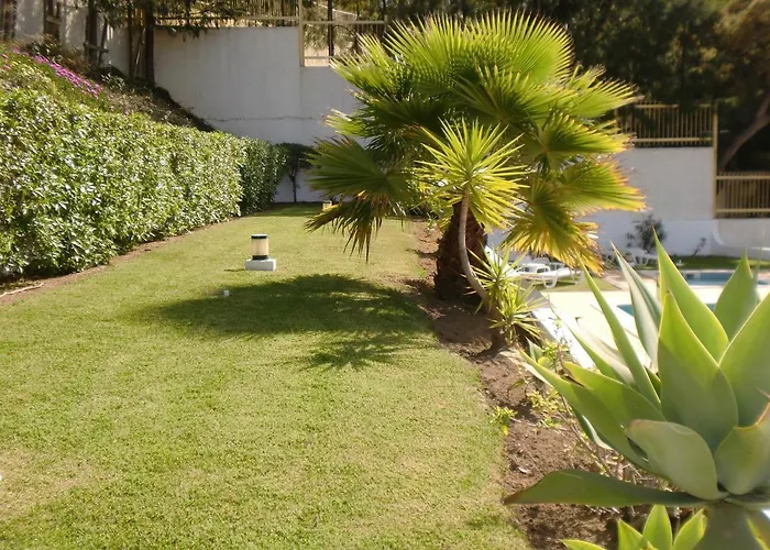 Perto Da * 알부페이라